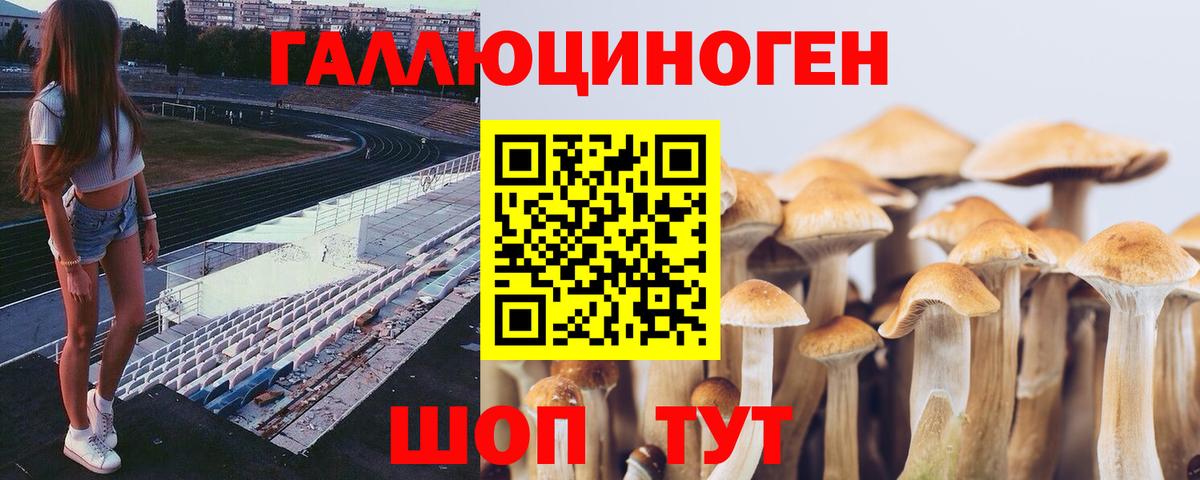 хочу   Псилоцибиновые грибы ЛСД  Вход с VPN  Свободный 