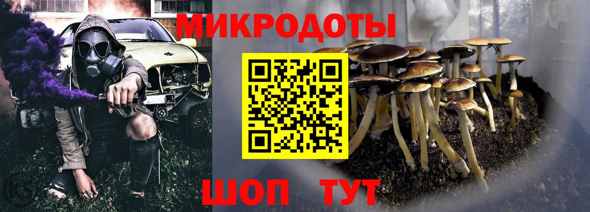 Псилоцибиновые грибы Cubensis Свободный